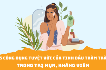 Top 5 công dụng tuyệt vời của tinh dầu tràm trà trong trị mụn, kháng viêm mà bạn nên biết