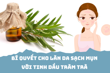Làn da sạch mụn với tinh dầu tràm trà – Quà tặng từ thiên nhiên