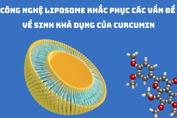 Công nghệ Liposome khắc phục các vấn đề về sinh khả dụng của Curcumin