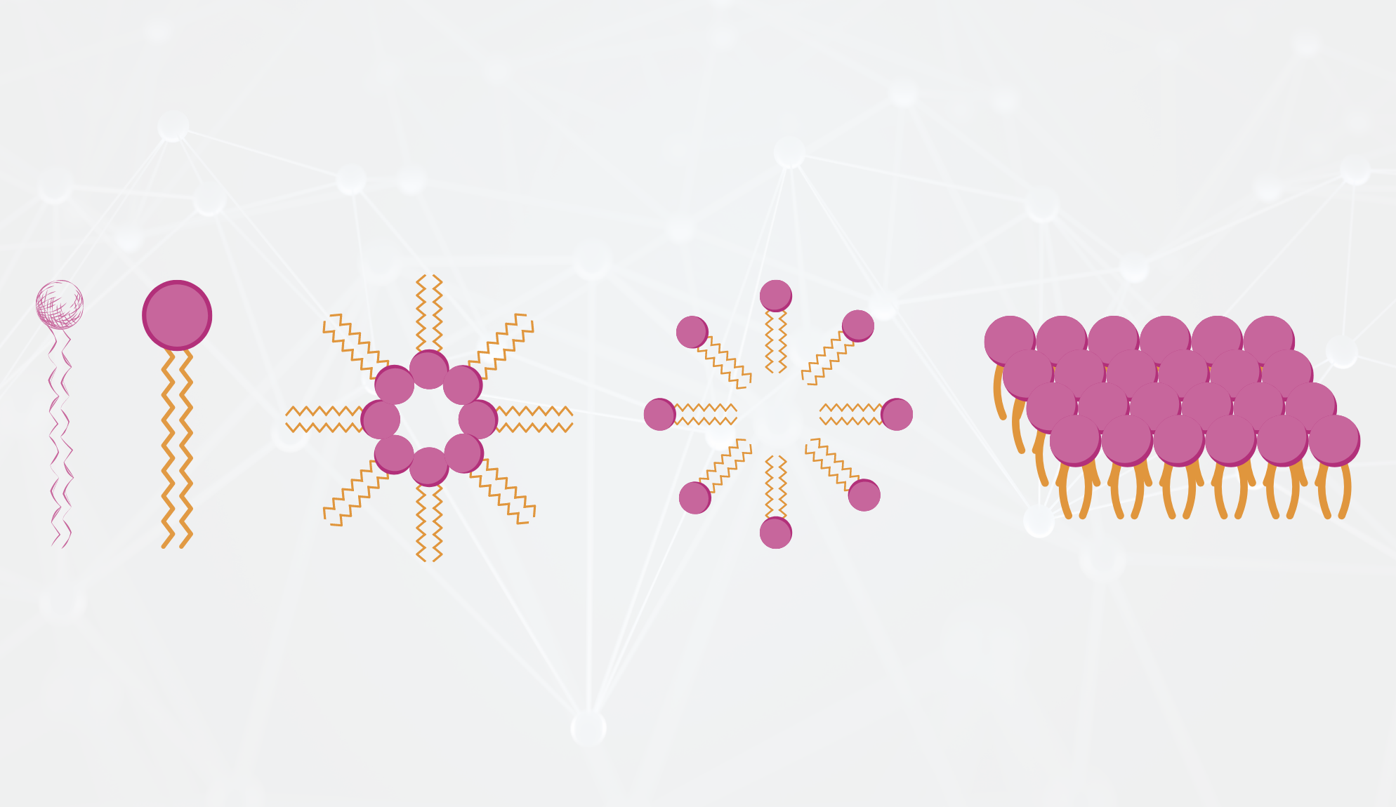 Liposome là những hạt siêu nhỏ, có cấu trúc giống với màng tế bào